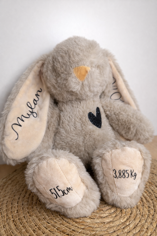 Peluche souvenir de naissance
